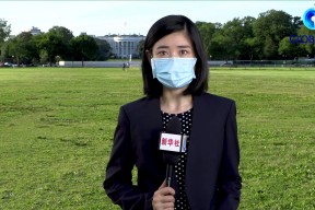 球速官网入口-辛弃疾水龙吟赏析